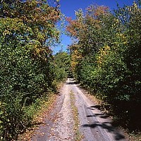 We invite you to stroll along our country road.